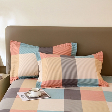 91家纺网 家纺一手货源 找家纺 （总）2024新款.亲肤舒适加厚磨毛印花系列单枕套