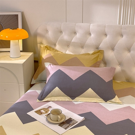 91家纺网 家纺一手货源 找家纺 （总）2024新款.亲肤舒适加厚磨毛印花系列单枕套