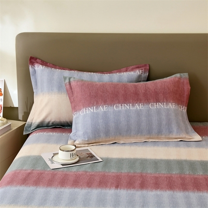 91家纺网 家纺一手货源 找家纺 （总）2024新款.亲肤舒适加厚磨毛印花系列单枕套