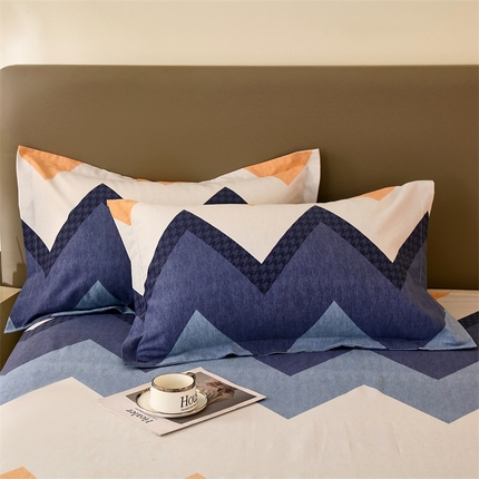 91家纺网 家纺一手货源 找家纺 （总）2024新款.亲肤舒适加厚磨毛印花系列单枕套