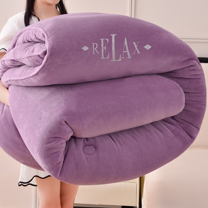 牛魔王家居 2024新款加厚牛奶绒绣花冬被春秋被大豆被被子 牛奶绒+香芋紫