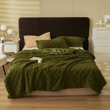 晨曦家纺 2024新款塔芙绒牛奶绒毛毯-初暖系列 初暖-茶绿