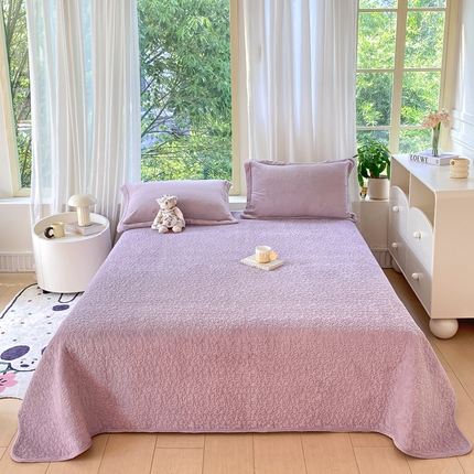 赫梵茜 2024新款高克重牛奶绒夹棉单床盖 新款淡紫