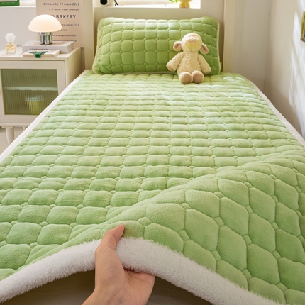 家喜爱 2024新款学生牛奶绒直角床褥 清新绿