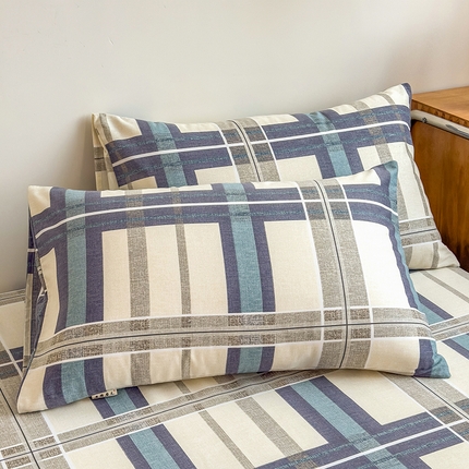 芃成家纺 2024新款原棉加厚生态磨毛单枕套 莱茵格-米