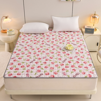 91家纺网 家纺一手货源 找家纺 （总）富威堡家纺 2025新款牛奶绒棉花床护垫可水洗床垫保暖薄床褥学生榻榻米垫子