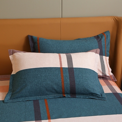 晶缦家纺 2024新款典雅系-全棉活性磨毛多规格单品枕套 悠悠岁月