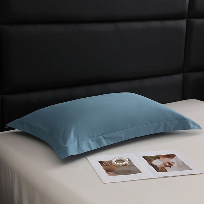 91家纺网 家纺一手货源 找家纺 莱阁亿 2025秋冬新款高支高密全棉纯棉磨毛双拼纯色单枕套 枕套单件 湖兰