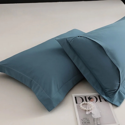 91家纺网 家纺一手货源 找家纺 （总）莱阁亿 2025秋冬新款高支高密全棉纯棉磨毛双拼纯色单枕套 枕套单件