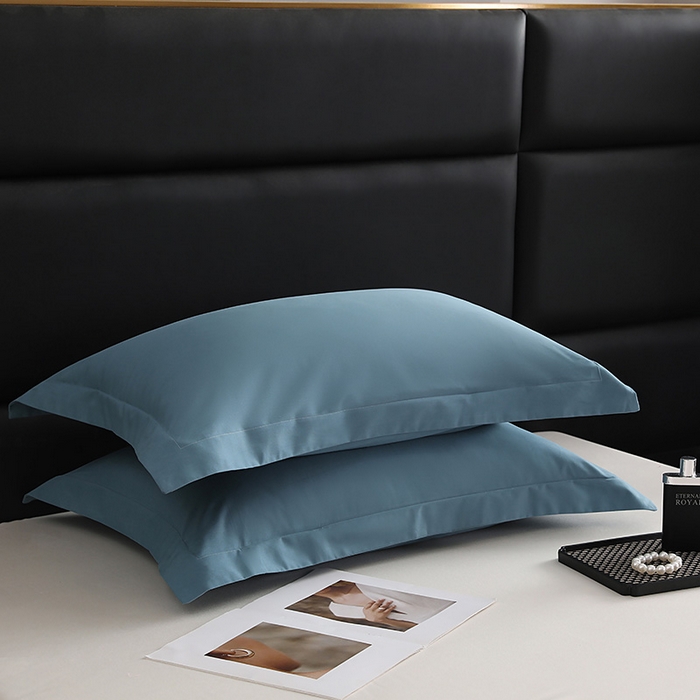 91家纺网 家纺一手货源 找家纺 莱阁亿 2025秋冬新款高支高密全棉纯棉磨毛双拼纯色单枕套 枕套单件 湖兰