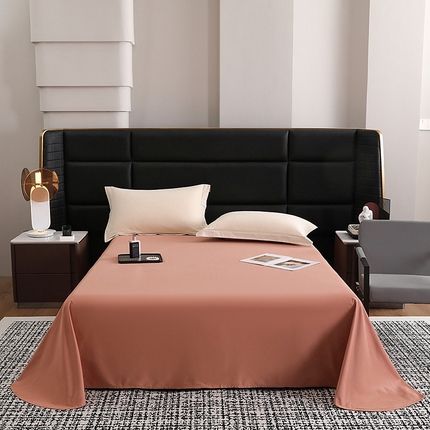 莱阁亿 2025秋冬新款高支高密全棉纯棉磨毛双拼纯色单床单床单单件 赤柚红