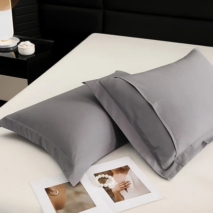 91家纺网 家纺一手货源 找家纺 （总）莱阁亿 2025秋冬新款高支高密全棉纯棉磨毛双拼纯色单枕套 枕套单件