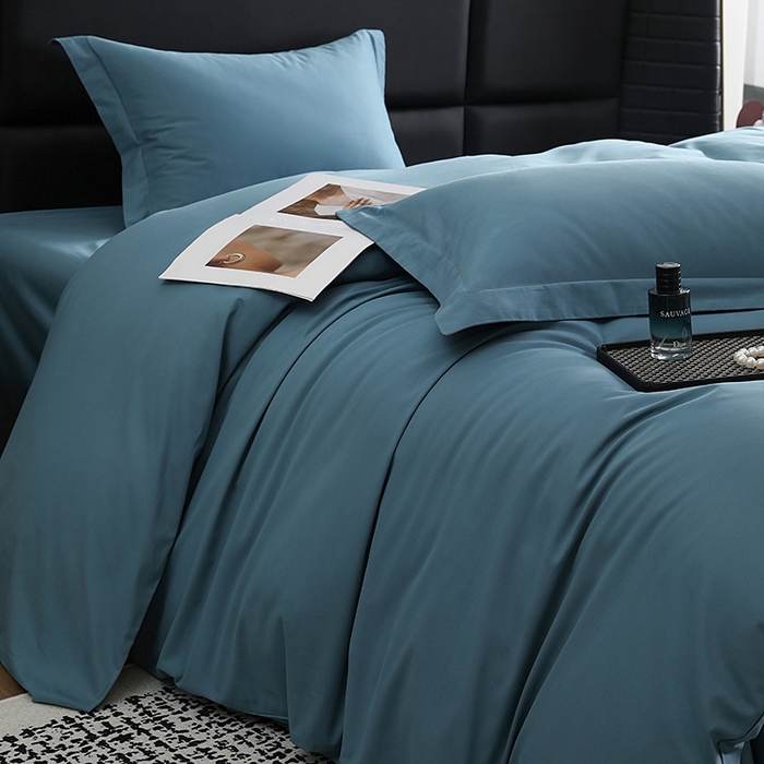 91家纺网 家纺一手货源 找家纺 莱阁亿 2025秋冬新款高支高密全棉纯棉磨毛双拼纯色单被套被套单件 湖兰