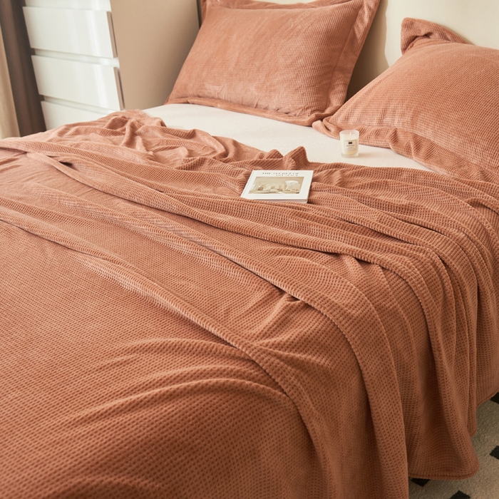 91家纺网 家纺一手货源 找家纺 吾诺家居 2024新款秋冬华夫格牛奶绒单床单系列 焦糖咖