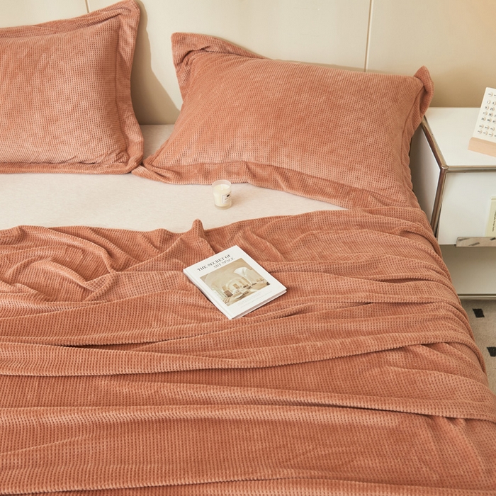 91家纺网 家纺一手货源 找家纺 吾诺家居 2024新款秋冬华夫格牛奶绒单床单系列 焦糖咖