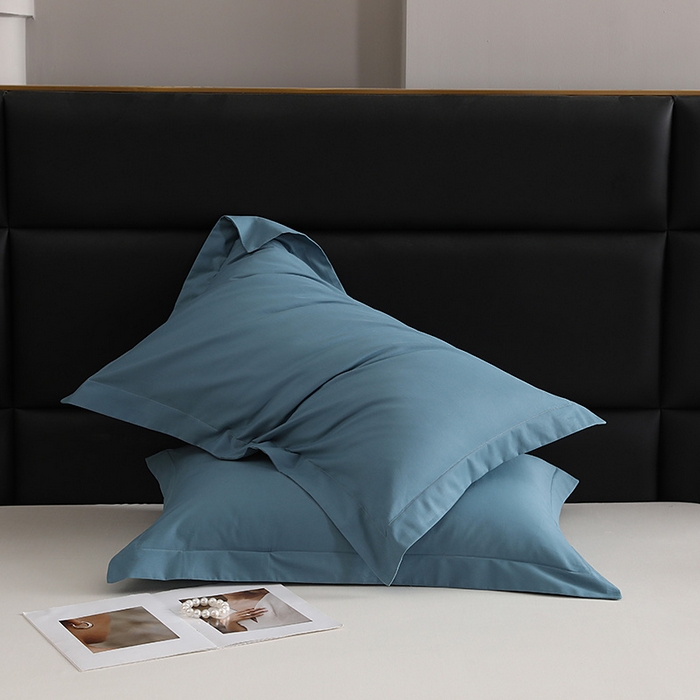 91家纺网 家纺一手货源 找家纺 莱阁亿 2025秋冬新款高支高密全棉纯棉磨毛双拼纯色单枕套 枕套单件 湖兰