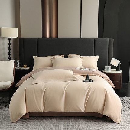 莱阁亿 2025秋冬新款高支高密全棉纯棉磨毛双拼纯色四件套 奶芋色&绒丝拿铁