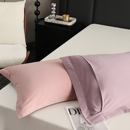 91家纺网 家纺一手货源 找家纺 （总）莱阁亿 2025秋冬新款高支高密全棉纯棉磨毛双拼纯色单枕套 枕套单件