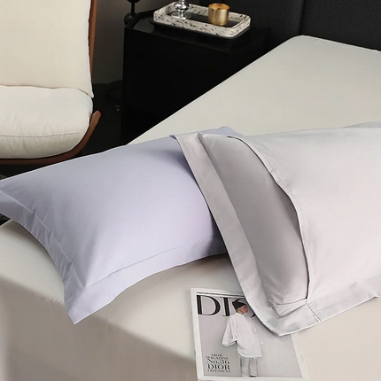 91家纺网 家纺一手货源 找家纺 （总）莱阁亿 2025秋冬新款高支高密全棉纯棉磨毛双拼纯色单枕套 枕套单件