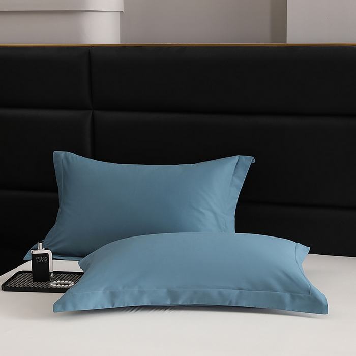 91家纺网 家纺一手货源 找家纺 莱阁亿 2025秋冬新款高支高密全棉纯棉磨毛双拼纯色单枕套 枕套单件 湖兰