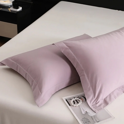 91家纺网 家纺一手货源 找家纺 （总）莱阁亿 2025秋冬新款高支高密全棉纯棉磨毛双拼纯色单枕套 枕套单件