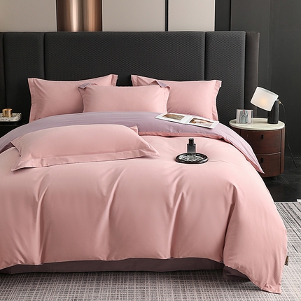 莱阁亿 2025秋冬新款高支高密全棉纯棉磨毛双拼纯色单被套被套单件 豆沙粉&浅紫