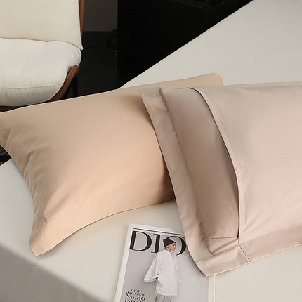 91家纺网 家纺一手货源 找家纺 （总）莱阁亿 2025秋冬新款高支高密全棉纯棉磨毛双拼纯色单枕套 枕套单件