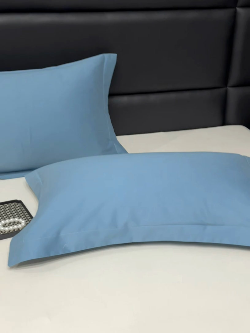 91家纺网 家纺一手货源 找家纺 莱阁亿 2025秋冬新款高支高密全棉纯棉磨毛双拼纯色单枕套 枕套单件 湖兰