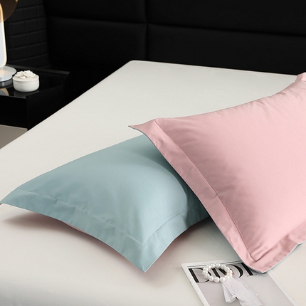 91家纺网 家纺一手货源 找家纺 （总）莱阁亿 2025秋冬新款高支高密全棉纯棉磨毛双拼纯色单枕套 枕套单件