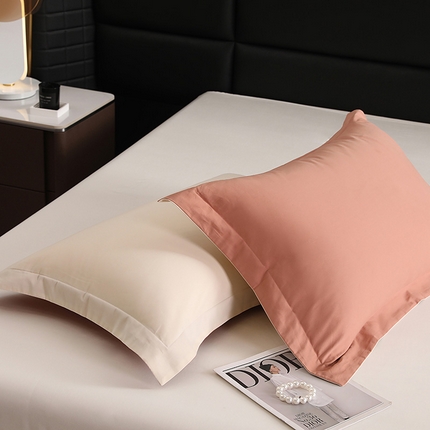 莱阁亿 2025秋冬新款高支高密全棉纯棉磨毛双拼纯色单枕套 枕套单件 奶昔白&咖啡