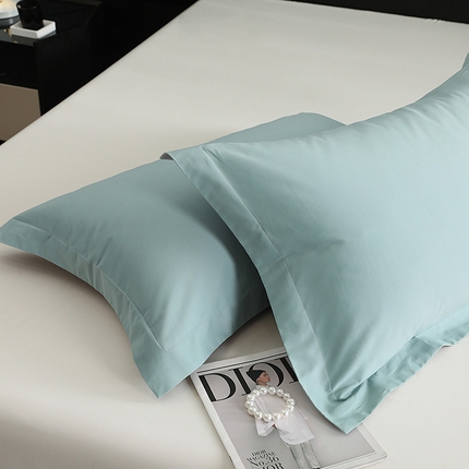 莱阁亿 2025秋冬新款高支高密全棉纯棉磨毛双拼纯色单枕套 枕套单件 森林绿&浅灰