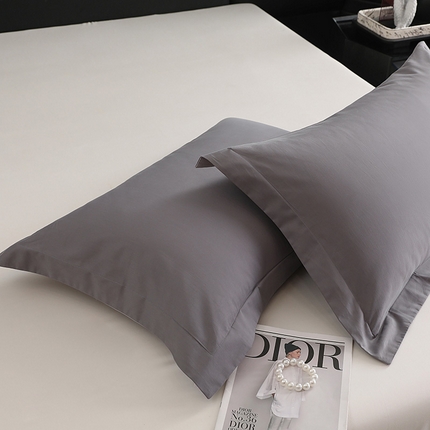 91家纺网 家纺一手货源 找家纺 （总）莱阁亿 2025秋冬新款高支高密全棉纯棉磨毛双拼纯色单枕套 枕套单件