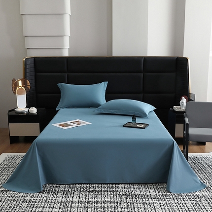 莱阁亿 2025秋冬新款高支高密全棉纯棉磨毛双拼纯色单床单床单单件 湖兰