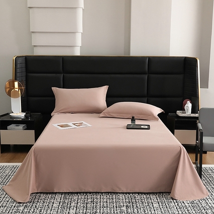 莱阁亿 2025秋冬新款高支高密全棉纯棉磨毛双拼纯色单床单床单单件 拿铁