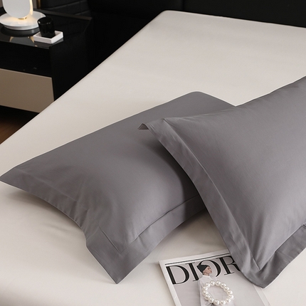 莱阁亿 2025秋冬新款高支高密全棉纯棉磨毛双拼纯色单枕套 枕套单件 浅灰