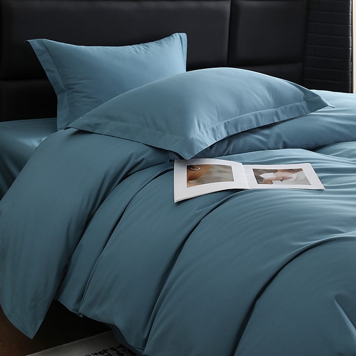 91家纺网 家纺一手货源 找家纺 莱阁亿 2025秋冬新款高支高密全棉纯棉磨毛双拼纯色单被套被套单件 湖兰