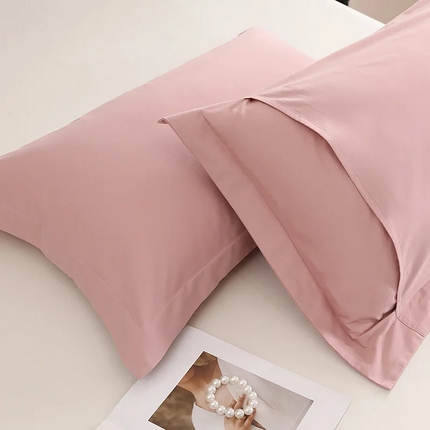 91家纺网 家纺一手货源 找家纺 （总）莱阁亿 2025秋冬新款高支高密全棉纯棉磨毛双拼纯色单枕套 枕套单件