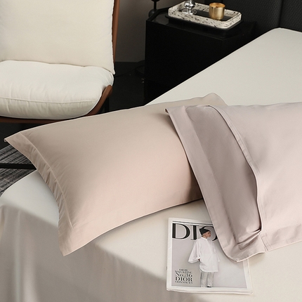 莱阁亿 2025秋冬新款高支高密全棉纯棉磨毛双拼纯色单枕套 枕套单件 灰紫&摩登灰