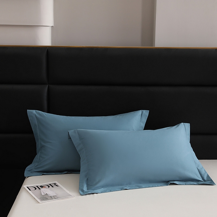 91家纺网 家纺一手货源 找家纺 莱阁亿 2025秋冬新款高支高密全棉纯棉磨毛双拼纯色单枕套 枕套单件 湖兰