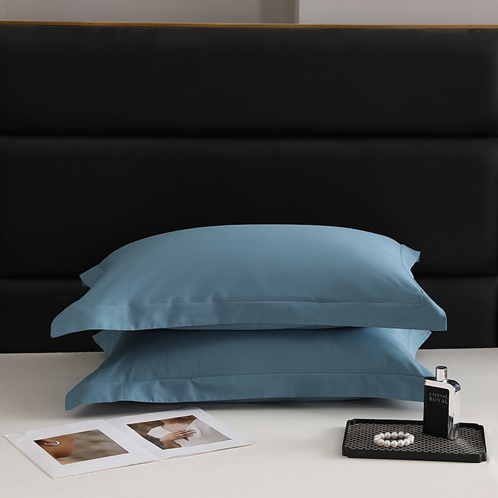 91家纺网 家纺一手货源 找家纺 莱阁亿 2025秋冬新款高支高密全棉纯棉磨毛双拼纯色单枕套 枕套单件 湖兰