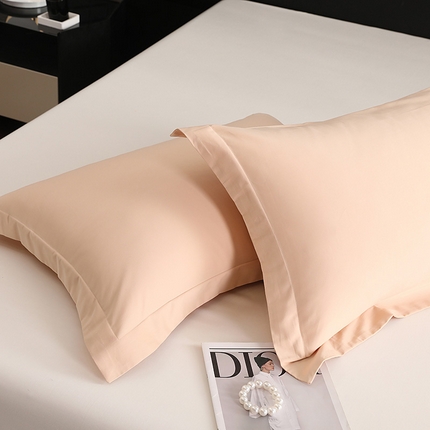 莱阁亿 2025秋冬新款高支高密全棉纯棉磨毛双拼纯色单枕套 枕套单件 巧克力