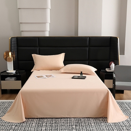 莱阁亿 2025秋冬新款高支高密全棉纯棉磨毛双拼纯色单床单床单单件 巧克力