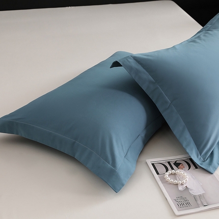 莱阁亿 2025秋冬新款高支高密全棉纯棉磨毛双拼纯色单枕套 枕套单件 湖兰