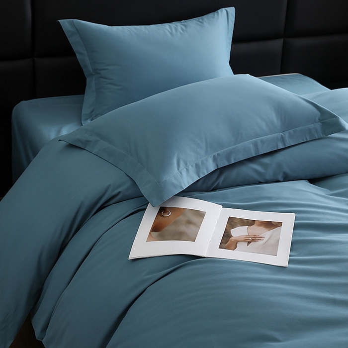 91家纺网 家纺一手货源 找家纺 莱阁亿 2025秋冬新款高支高密全棉纯棉磨毛双拼纯色四件套 湖兰