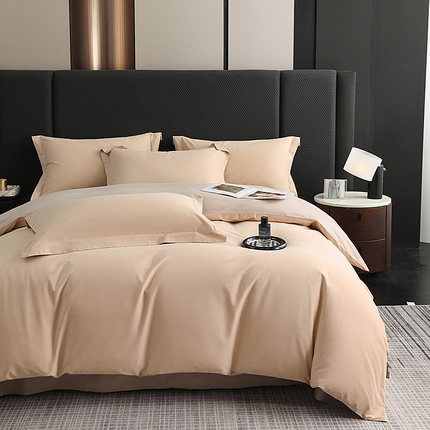 莱阁亿 2025秋冬新款高支高密全棉纯棉磨毛双拼纯色单被套被套单件 粉糖&布莱棕