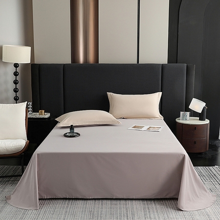 莱阁亿 2025秋冬新款高支高密全棉纯棉磨毛双拼纯色单床单床单单件 摩登灰