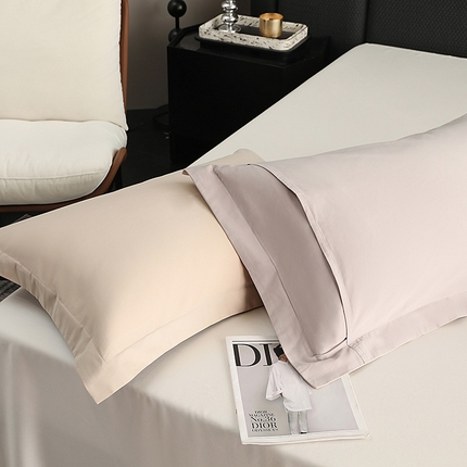 莱阁亿 2025秋冬新款高支高密全棉纯棉磨毛双拼纯色单枕套 枕套单件 可可棕&浅灰