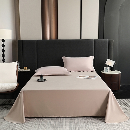 莱阁亿 2025秋冬新款高支高密全棉纯棉磨毛双拼纯色单床单床单单件 布莱垦棕