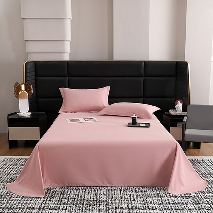 莱阁亿 2025秋冬新款高支高密全棉纯棉磨毛双拼纯色单床单床单单件 藕肤色