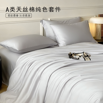 Mr.pig猪先生水洗棉 2024新款天丝棉纯色四件套 朦胧灰